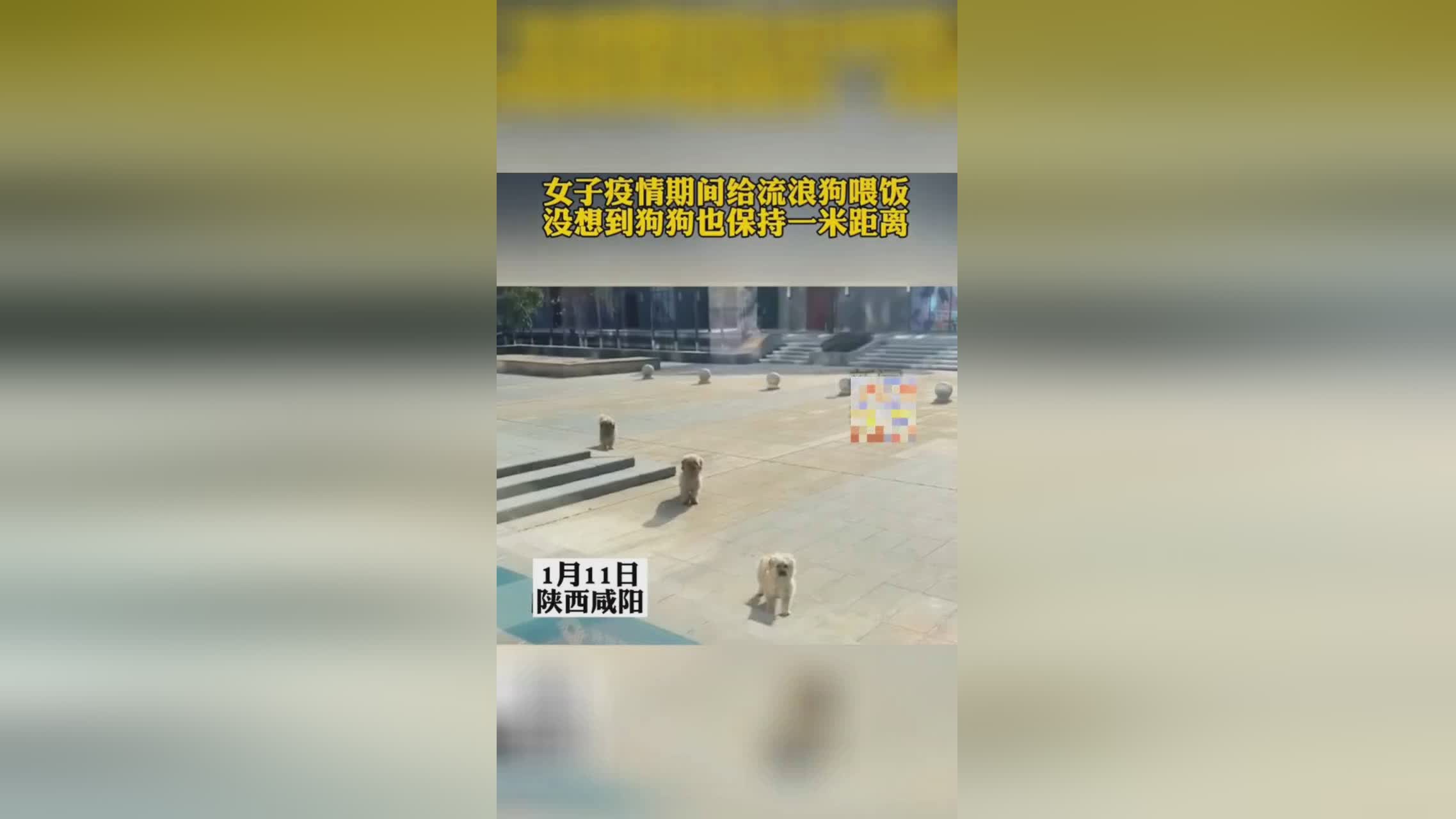 2003年，东直门地区目前属于封控区，保持一米社交距离等要求