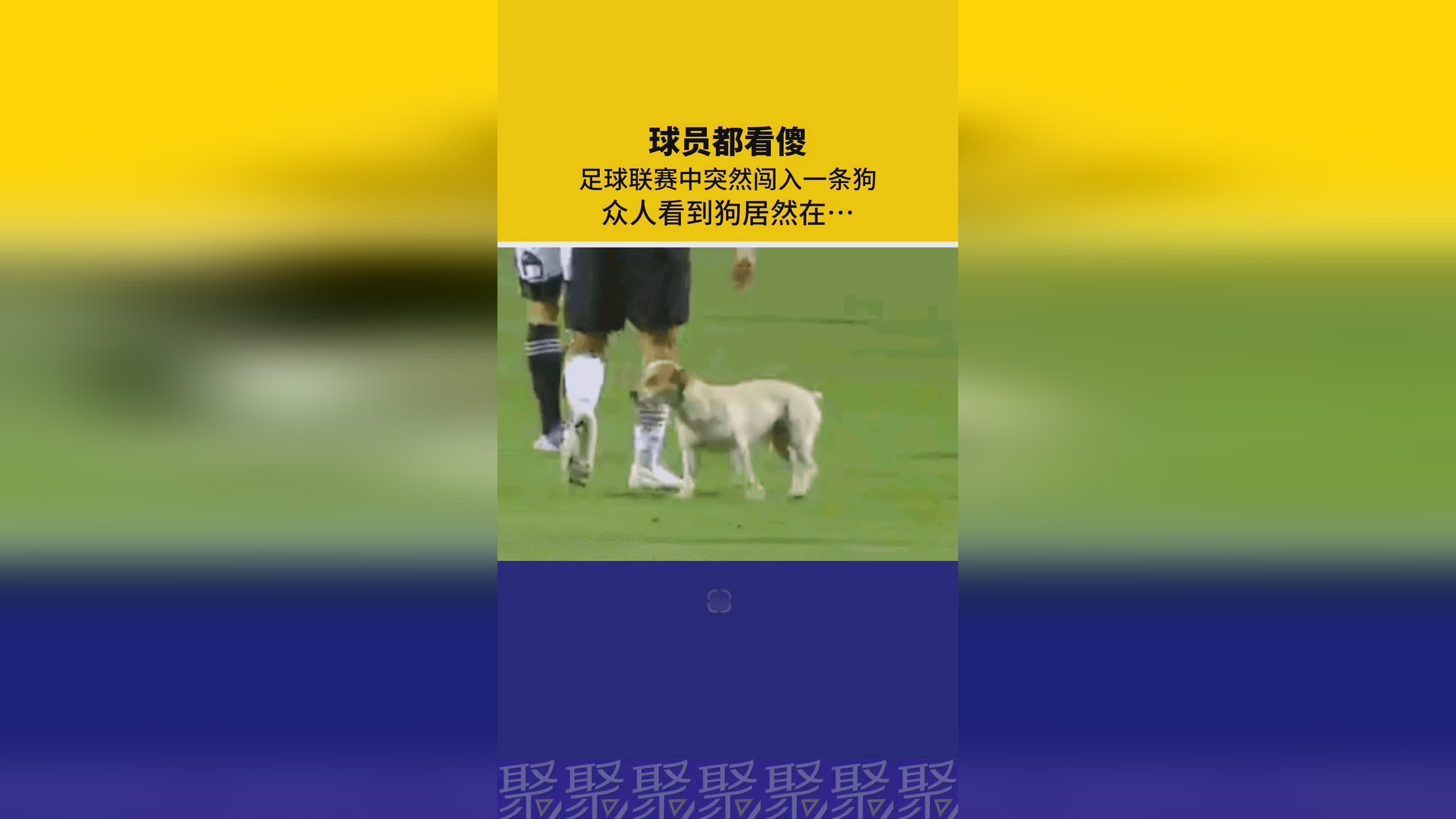 足球联赛排名？两队均有球员受伤或停赛的情况