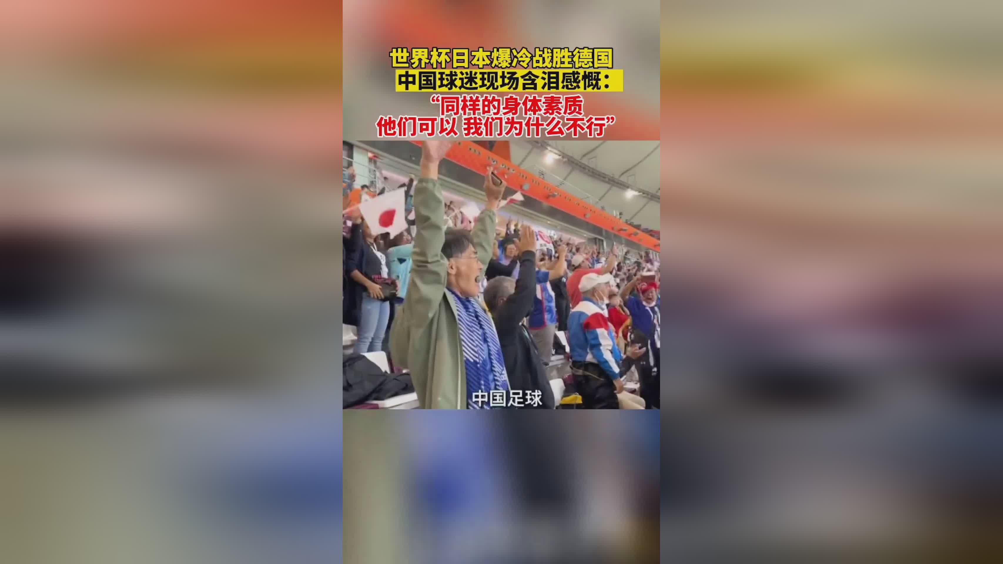 中国vs日本比分预测_丹麦上一场小组赛客场1