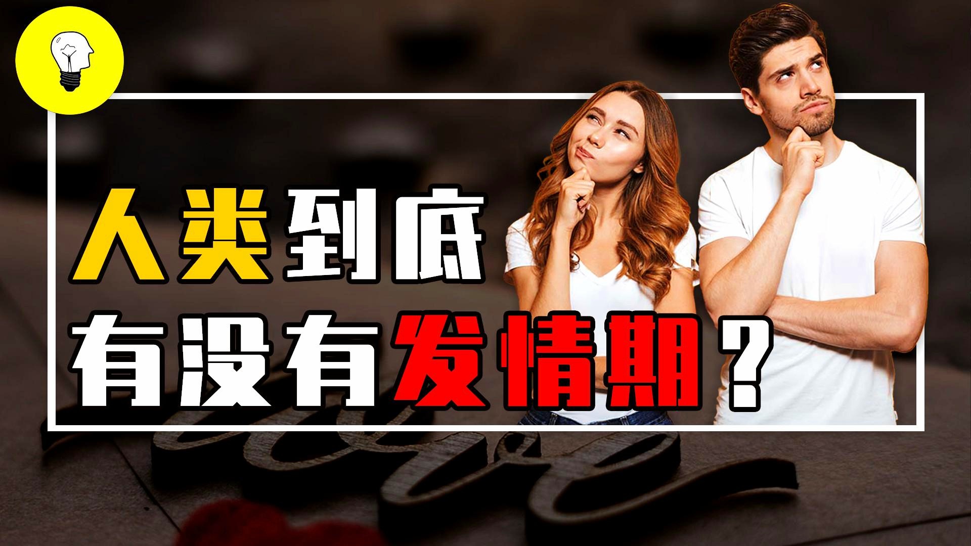 张雅蓓：动物可以理解人类的能量，中提及了一些关于鸟的趣事