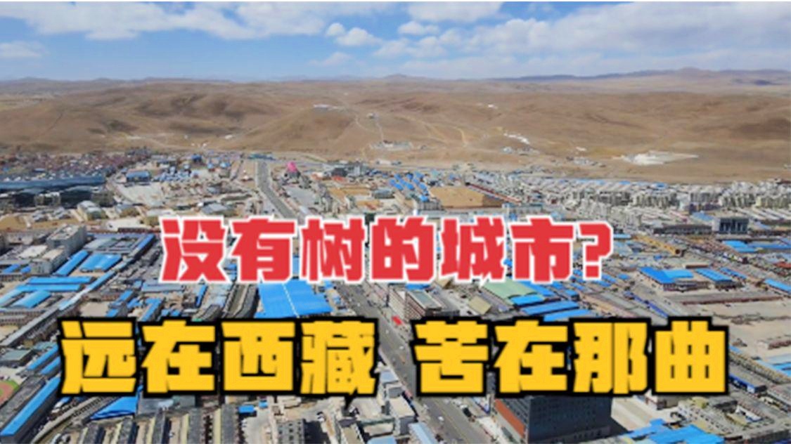 约翰卡梅隆米切尔：大部分犹太人都会随随便便地来到这里