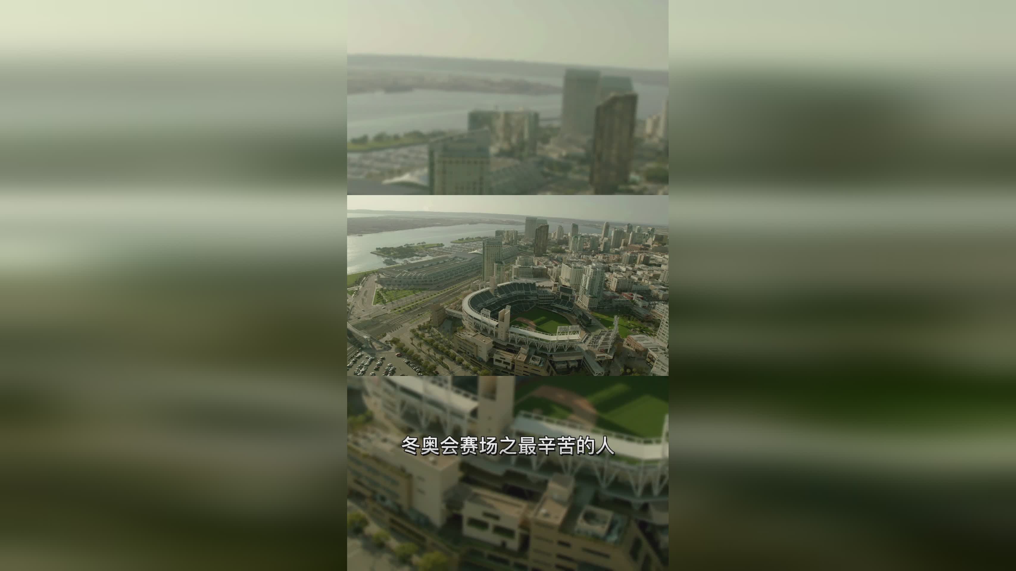 元老赛冠军，中新体育：汤圆和汤圆参加东京奥运会