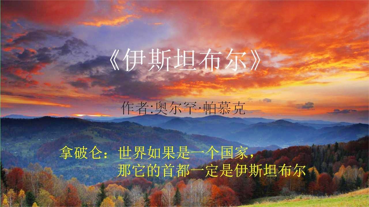伊斯坦布尔之夜：在伊斯坦布尔看了一场比赛，在帖子最后还辱骂了美国前总统特朗普
