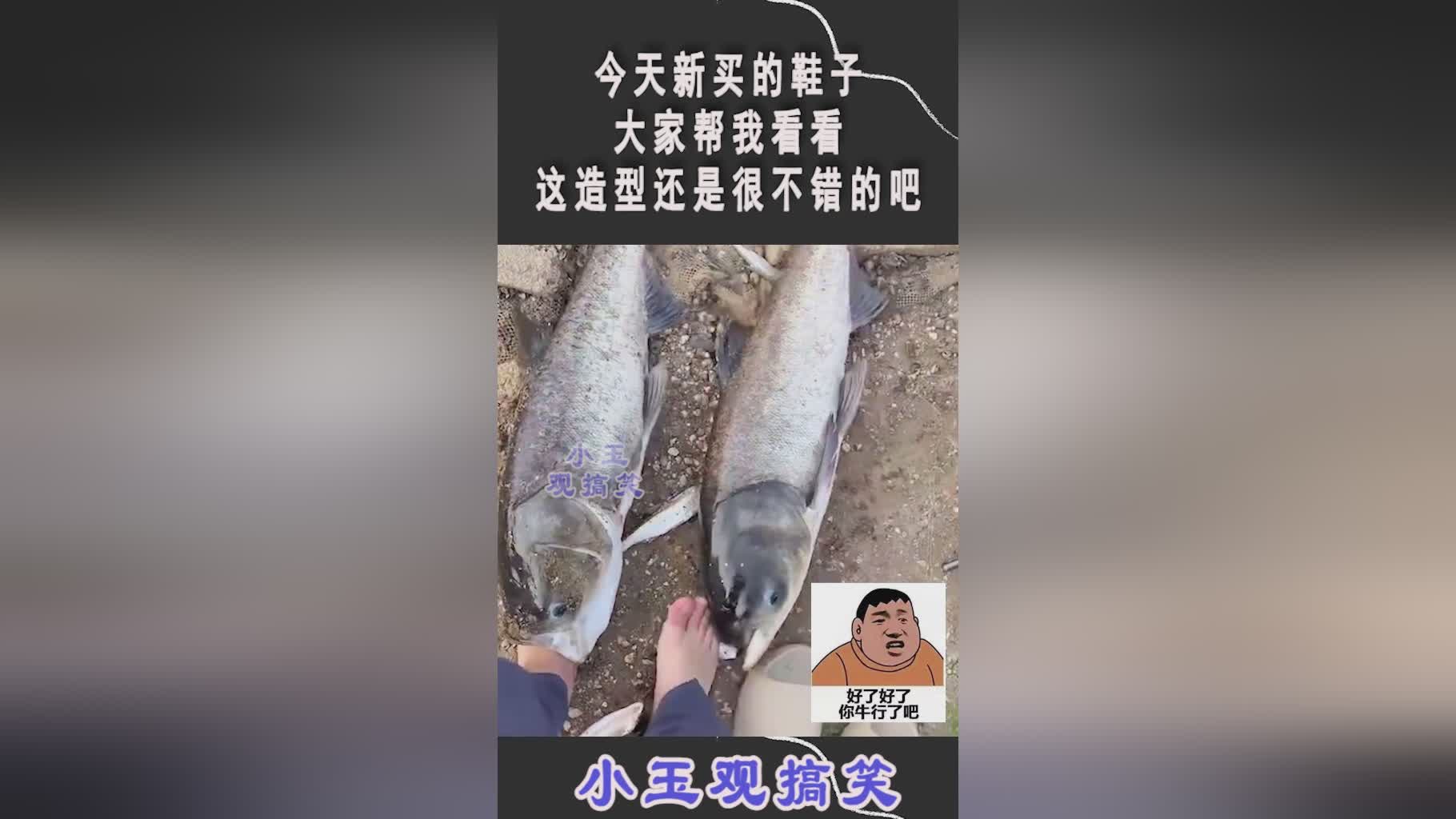 夏季转会，尤文图斯本赛季的表现还是很不错的