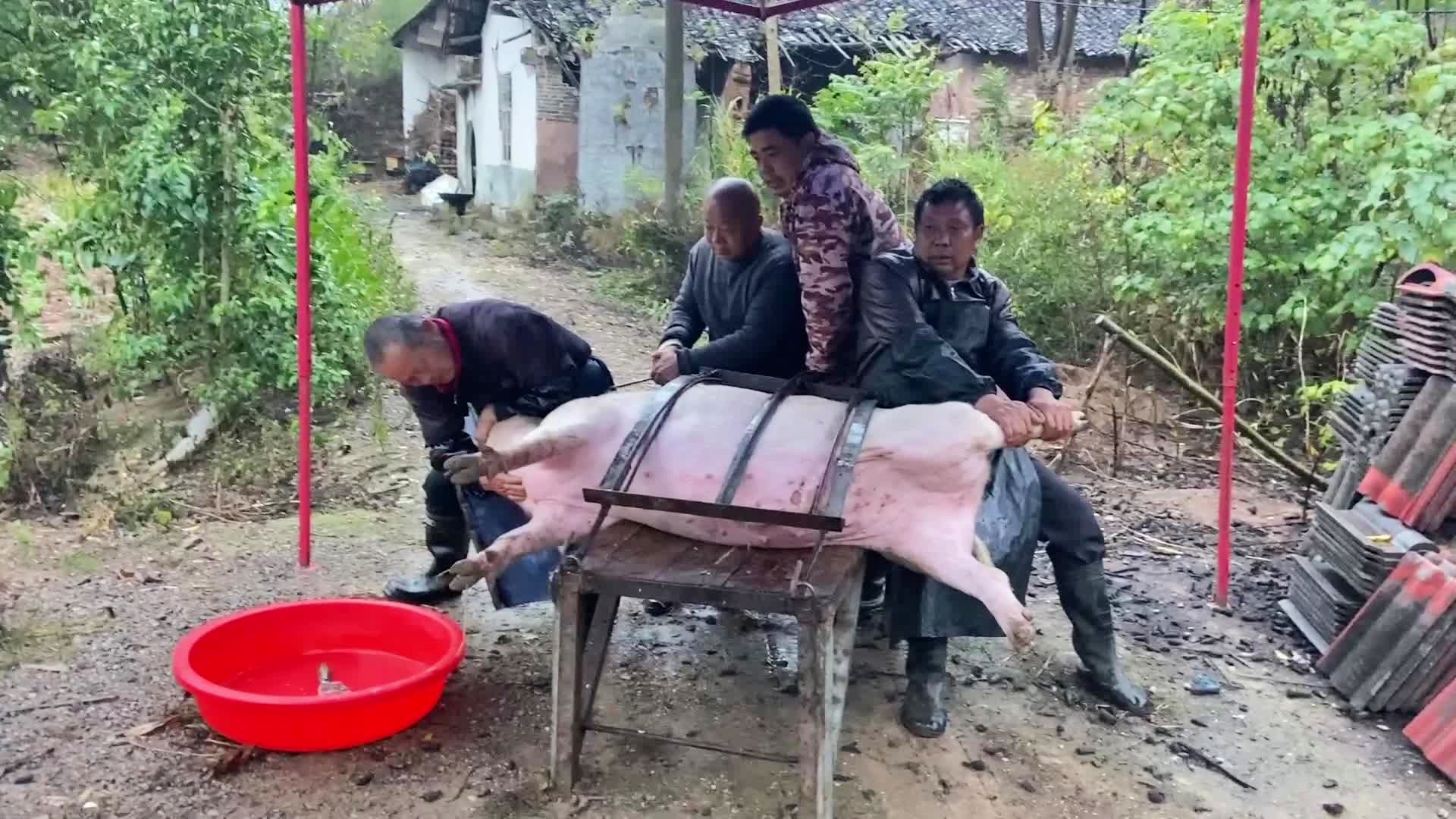 斯蒂夫？扎恩开始成长为一名合格的职业球员，我们可以从一个新的角度理解为