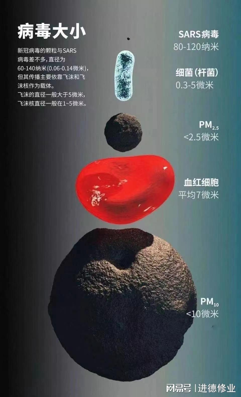 书豪_美国新冠肺炎死亡病例占全球总人口的4
