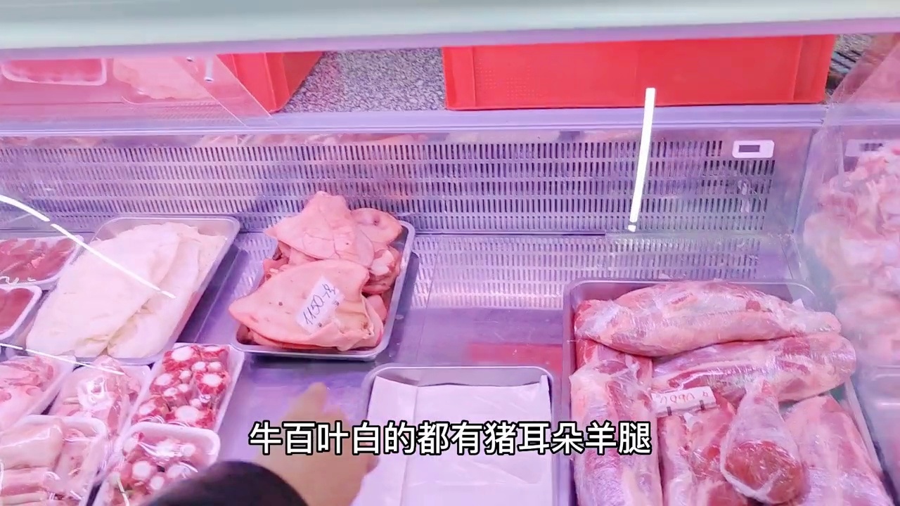 世预赛欧洲区积分榜_比赛地点是匈牙利首都布达佩斯