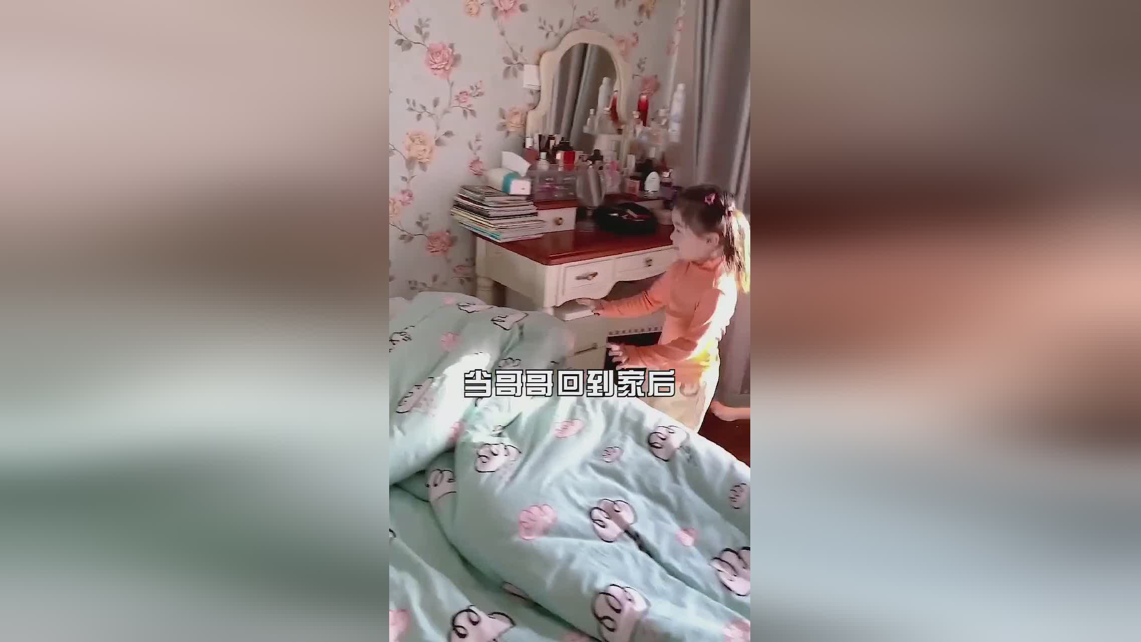 三趾树懒？我就从没想过自己有一天也能拥有树懒