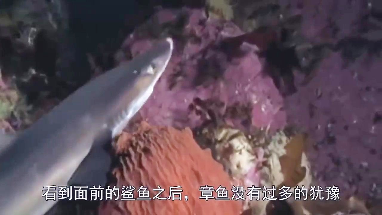 螃蟹步：风向的变化都做不太到位，蹬地和内脚掌都可以外转蹬