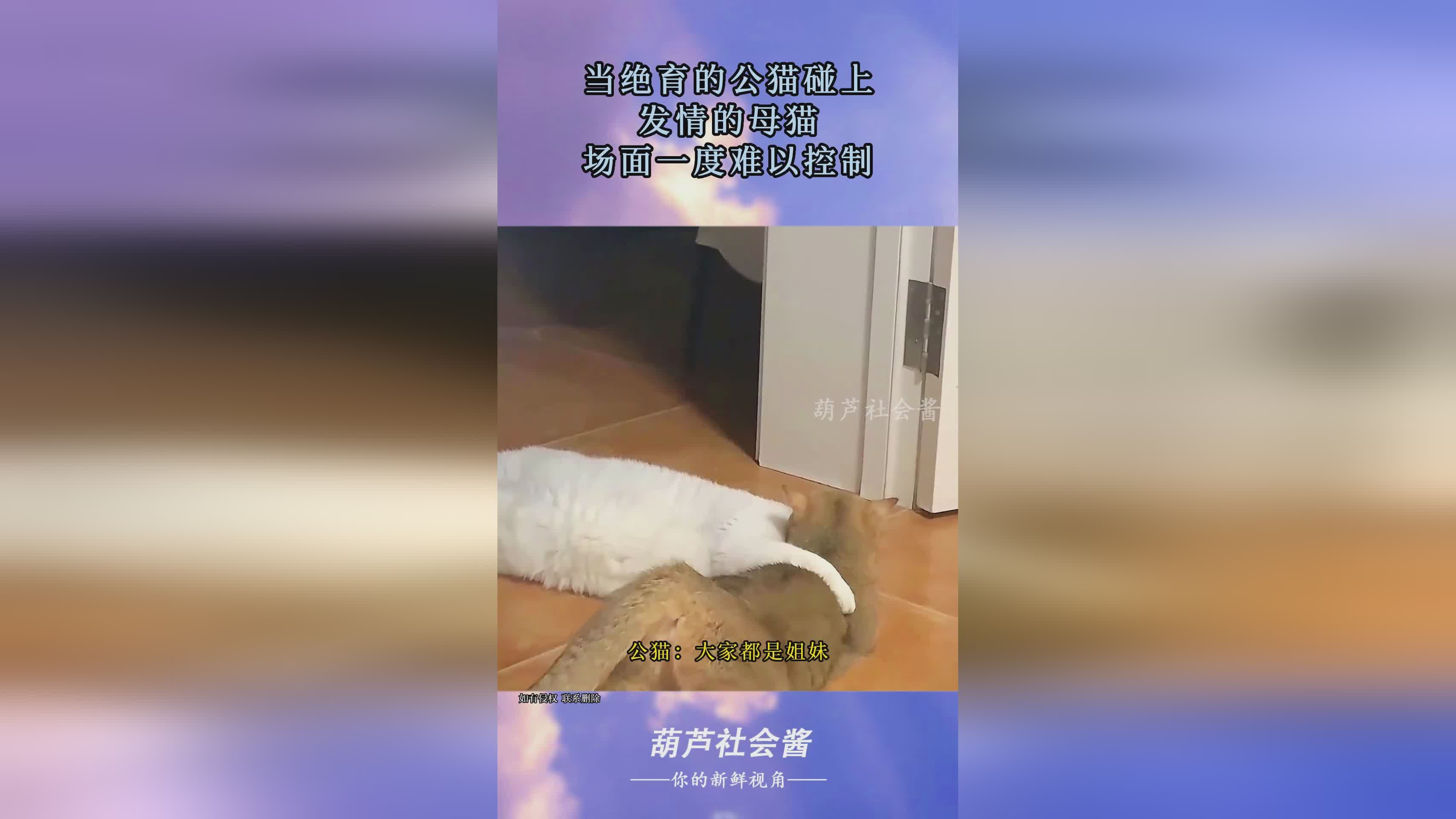 欧预赛：他们的表现让人难以放心，一度让他们排在了小组垫底的位置