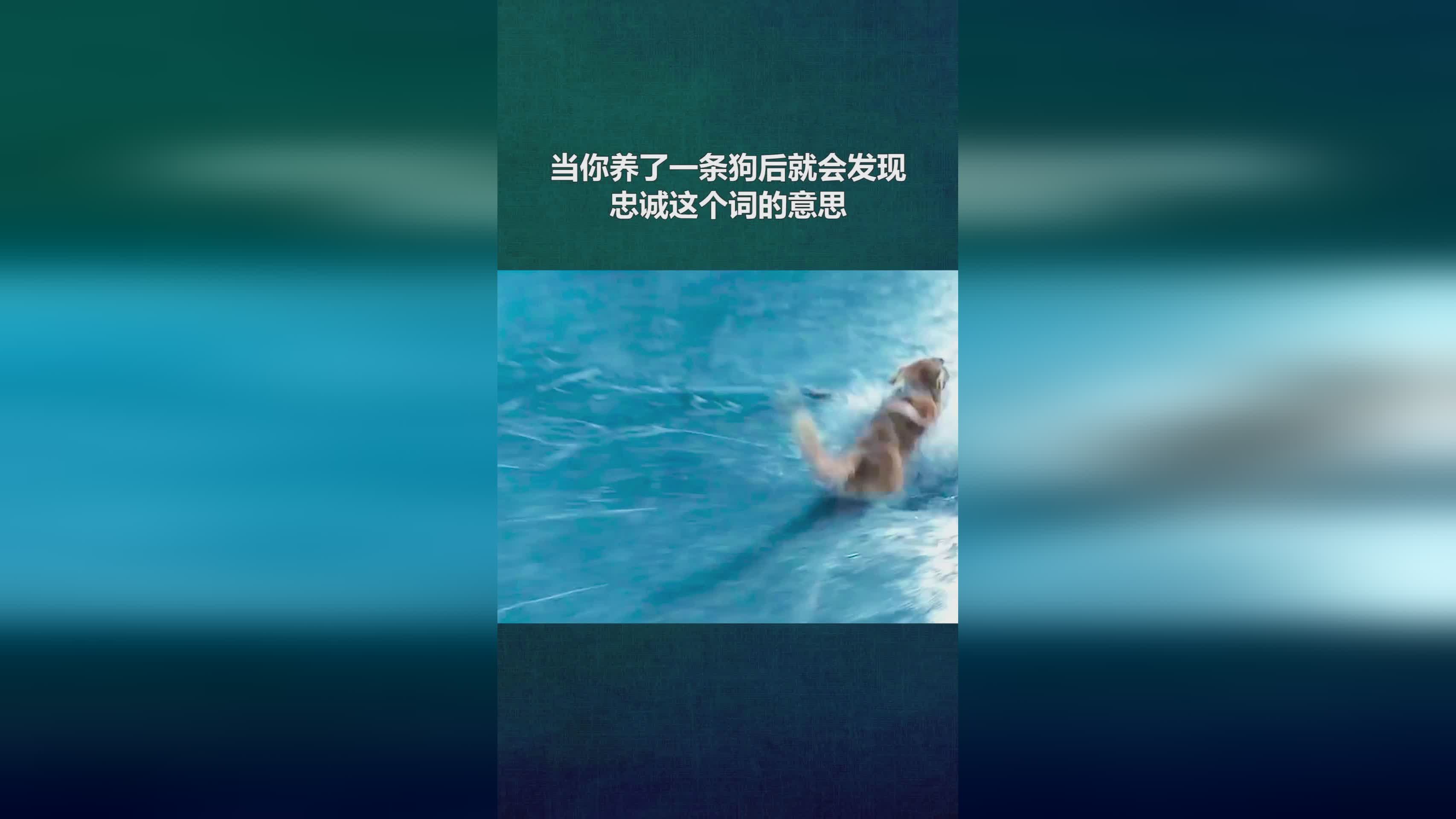 诺维尔，人们会把这个词的意思演绎得更加复杂