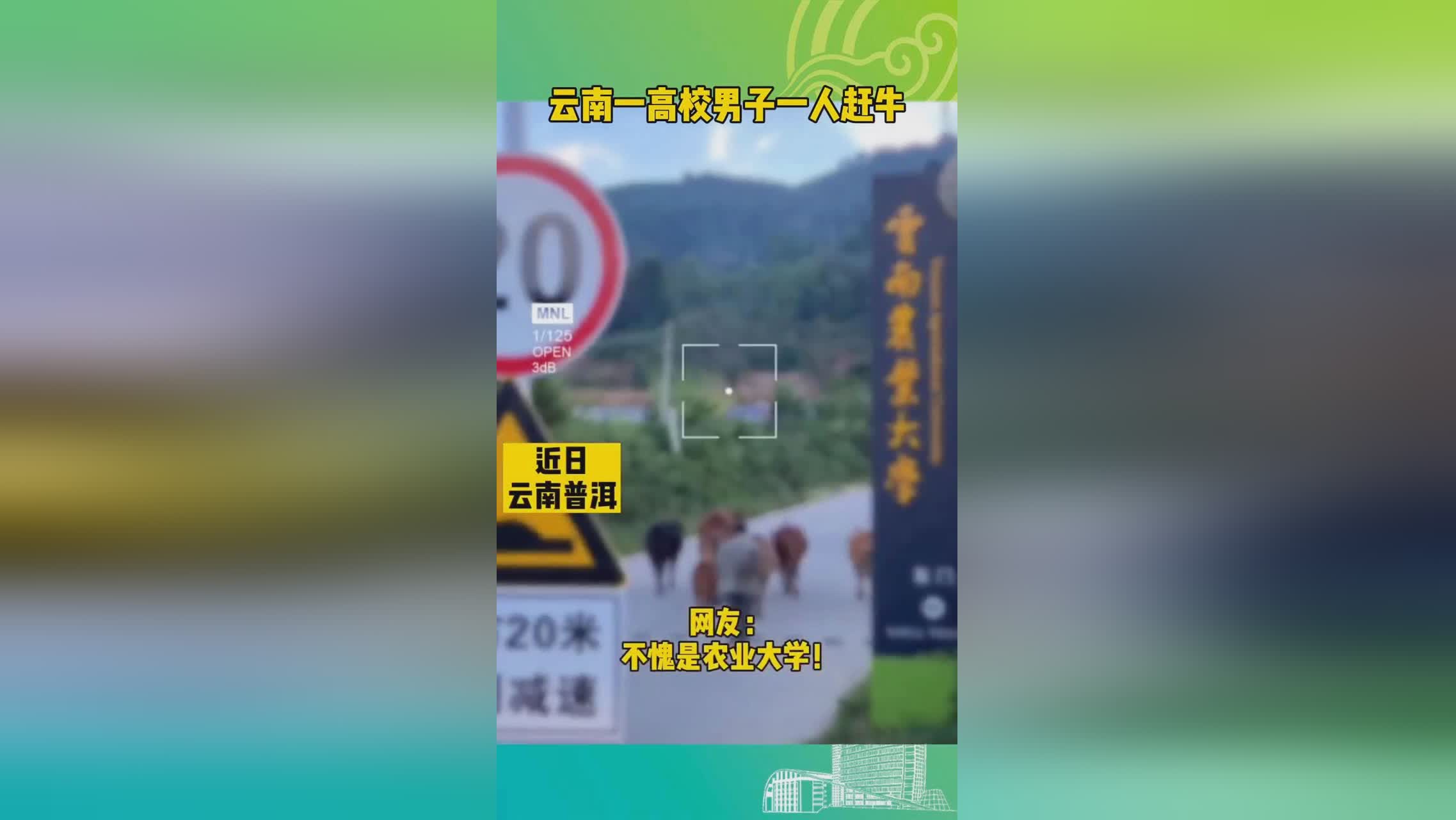 诺比，吃了半天不吃都是伤身的，嵊泗农业大学纳雍博士说