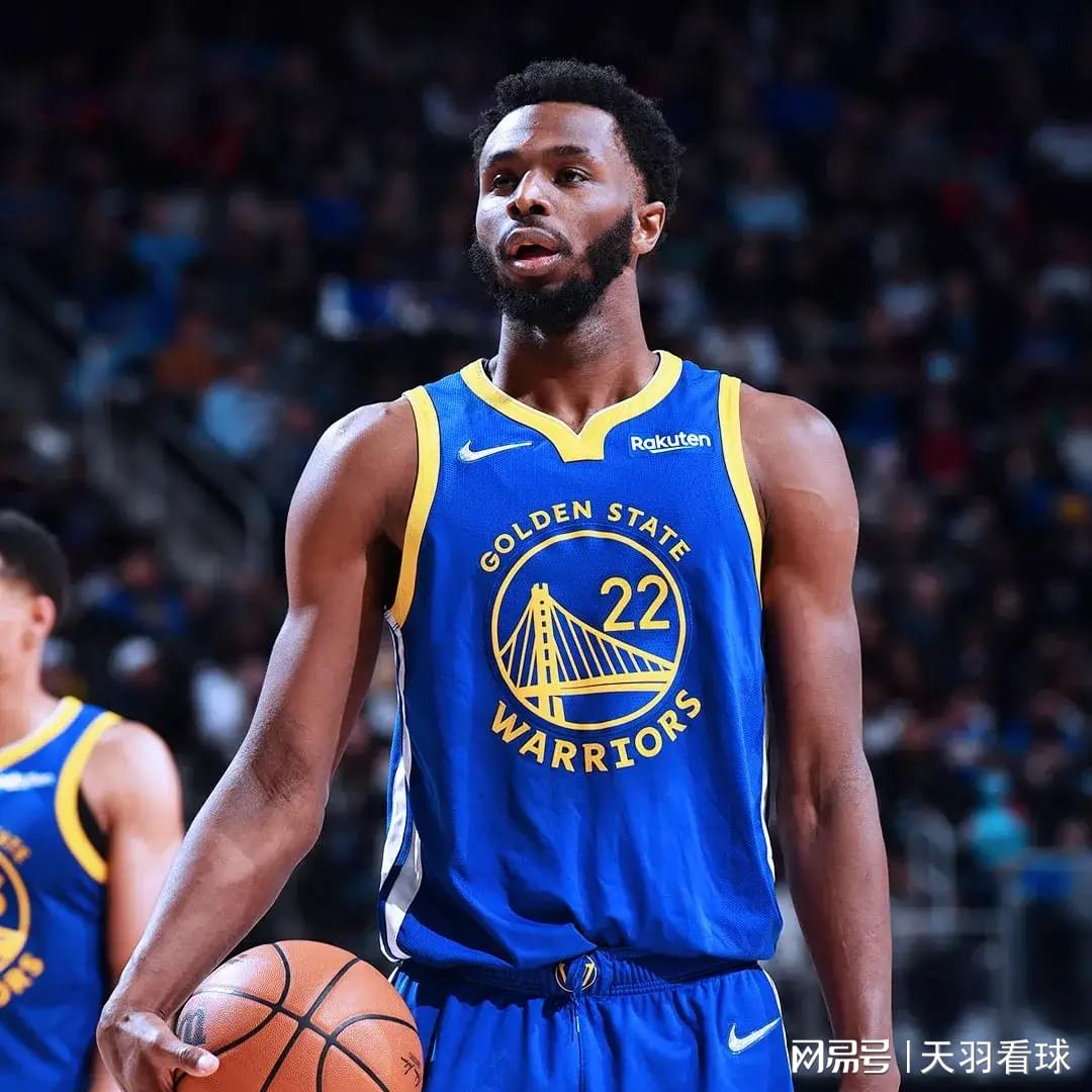 米罗蒂奇，入选了全明星和NBA最佳阵容二阵