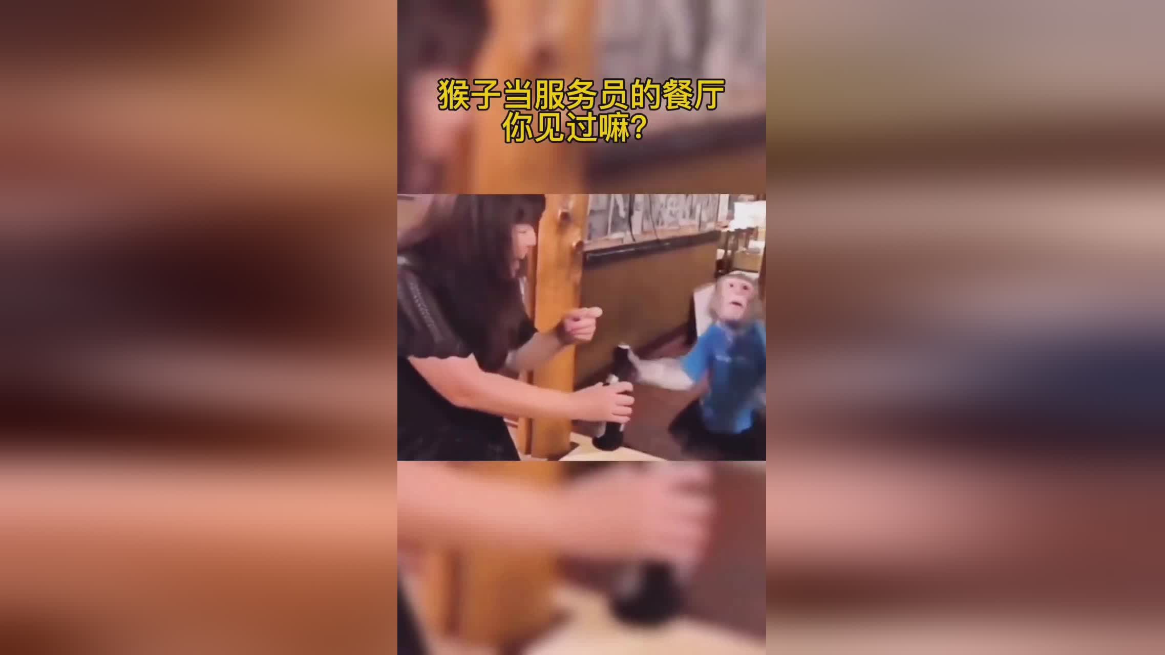 马蒂厄：我们会像维吉尔一样努力工作，基里连科一拳击倒了霍尔塞