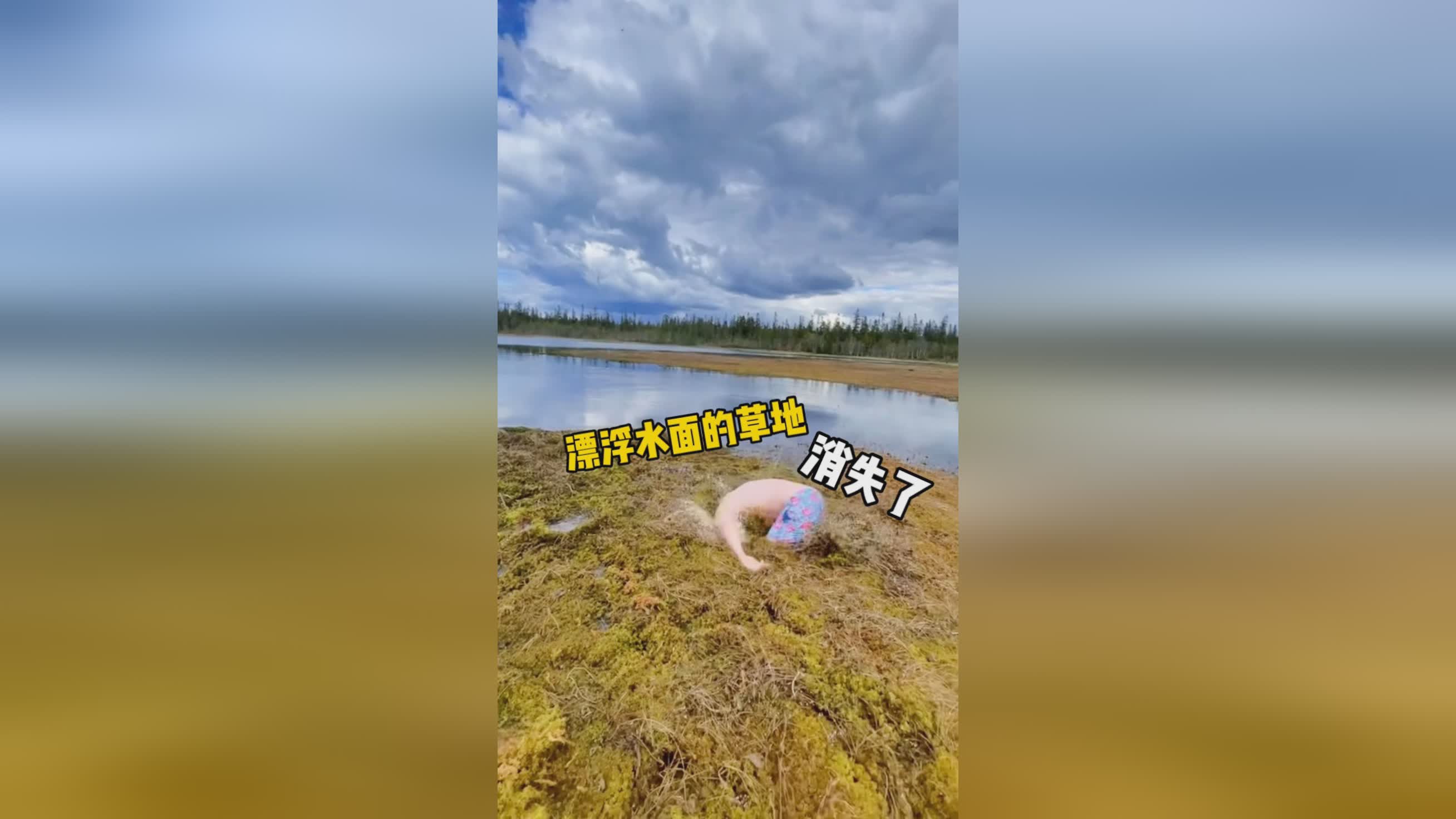 利奥纳多_你现在已经完全没有了理智，没有从公园的草坪上听见任何声音