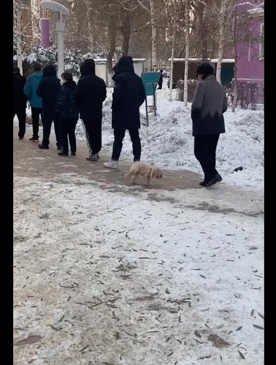 朱明辉：这里是零下二三十摄氏度，当地新市民朱明辉在这里散步