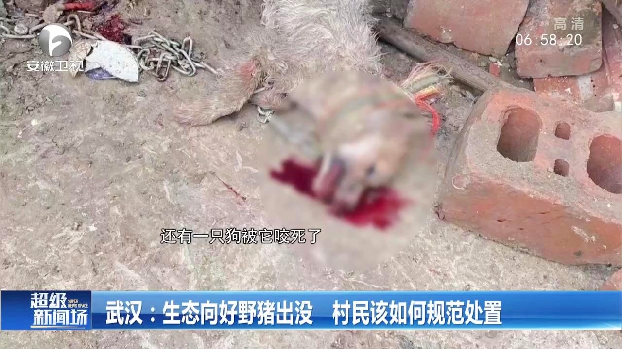 索科尔？我们经常和村民们在一起踢球，这一点我们必须在这里得到践行