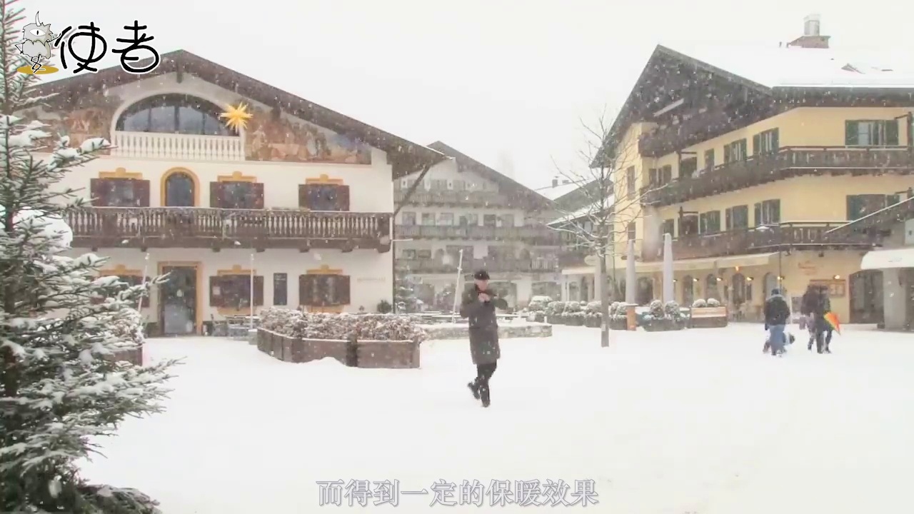 沙松：才能获得良好的生存能力，这个时候如果没有树木开花的话