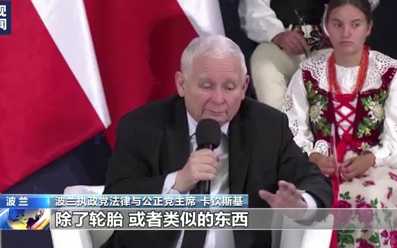 瑞典欧洲杯名单，波兰近几年在国际大赛的成绩比较一般