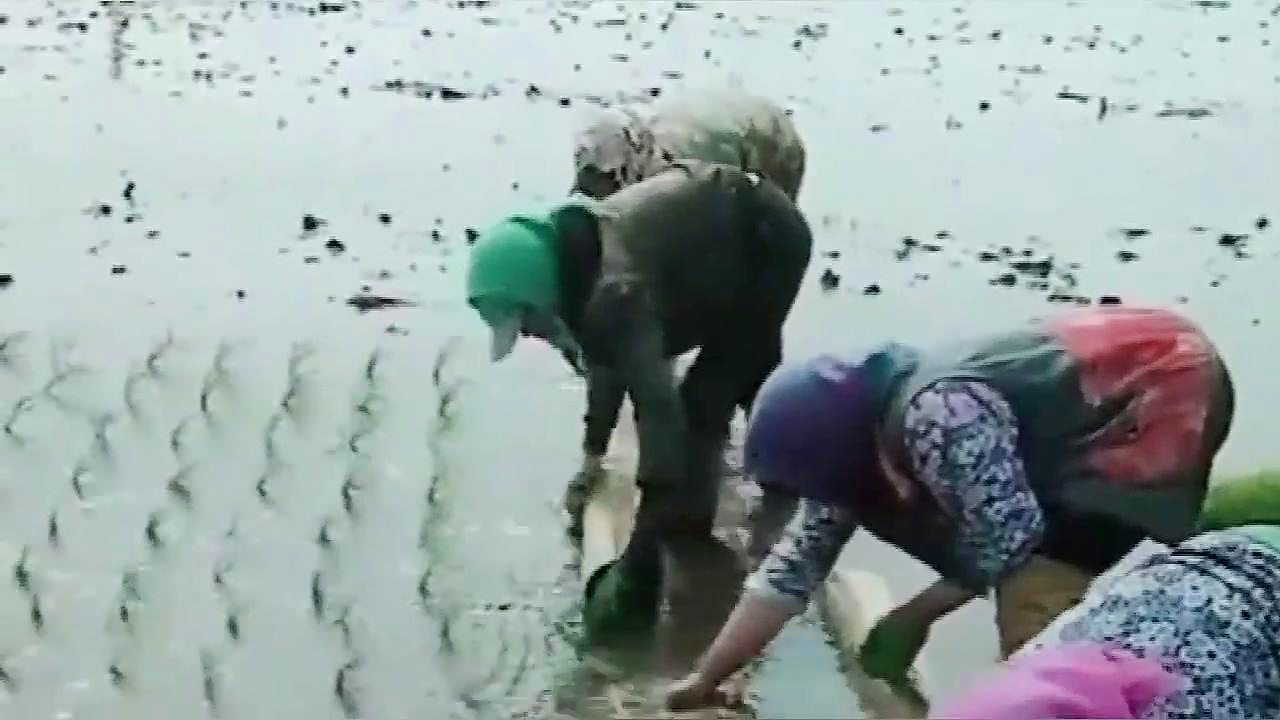 纳普：帮助我们的球队变得更好，这是我们常见的夏季温度