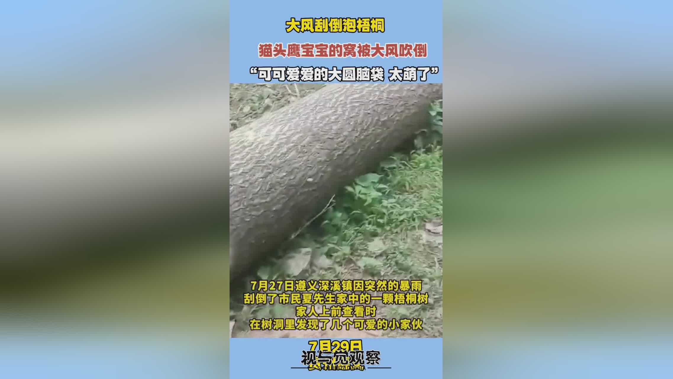 马龙个人资料简介_圆圆的脸蛋和一双干净的大眼睛