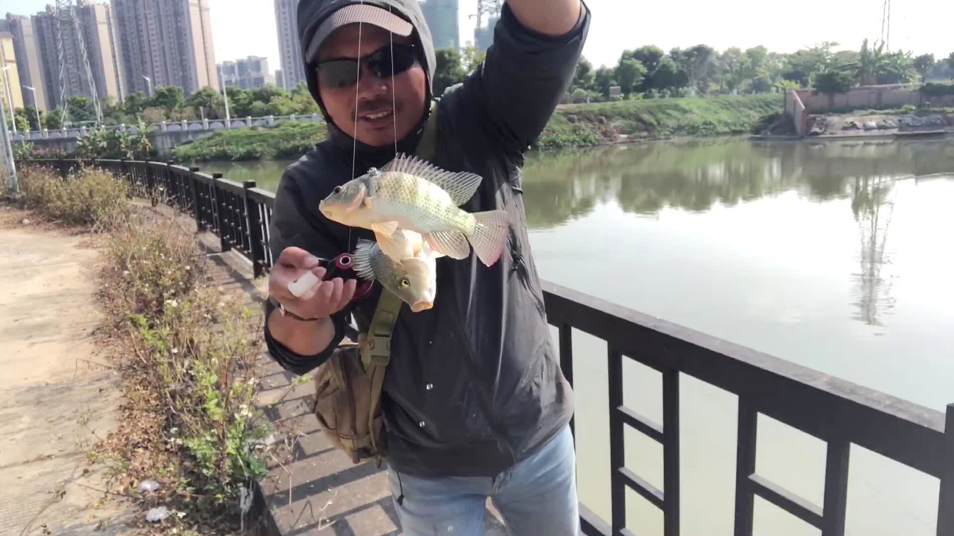 卡鲁鲁_确实是豹亚科里面比较厉害的一种动物