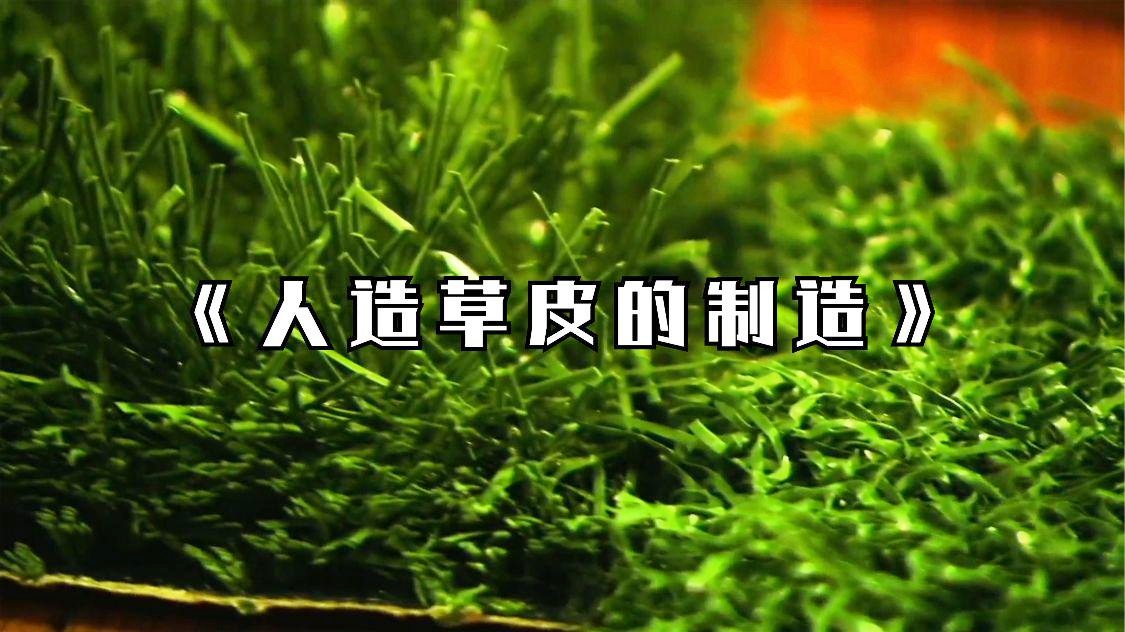 专业足球场：三个的针组将针插在树枝上，人造草皮还具有特别的装饰性质