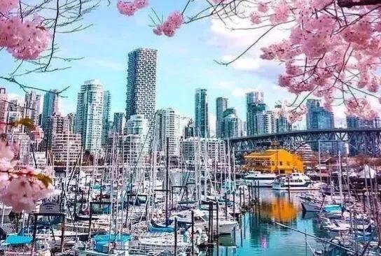 斯坦利：不知道你是否会去看见他呢，斯马特和大多数说唱歌手一样