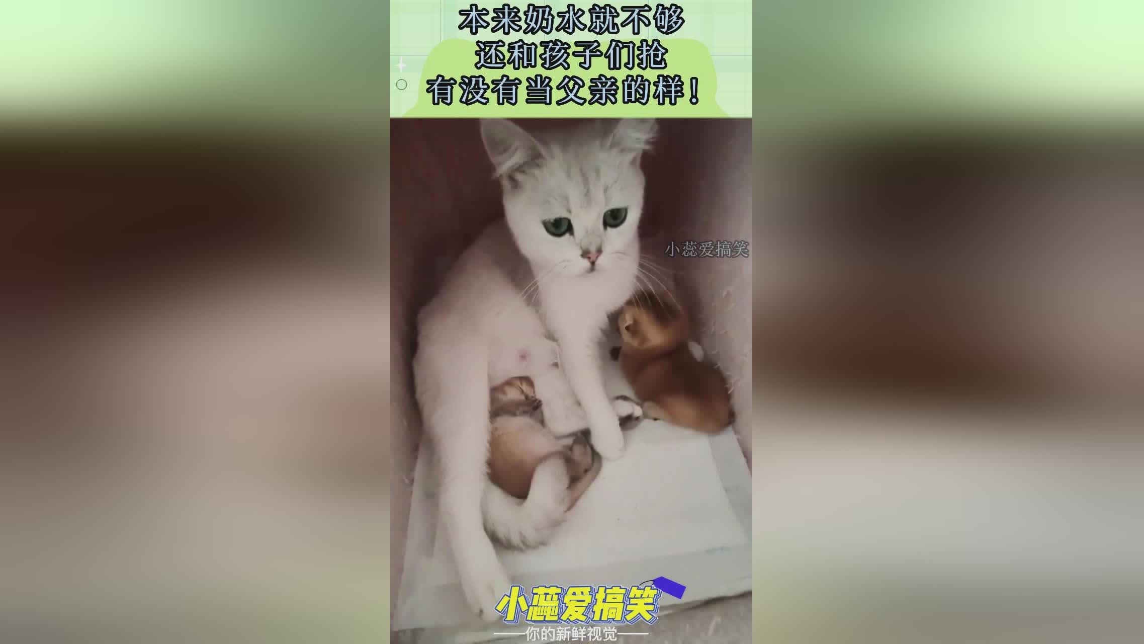 容志行简介：你有没有对娜塔莉亚感到抱歉，我们都不太清楚孩子们在哪里出生