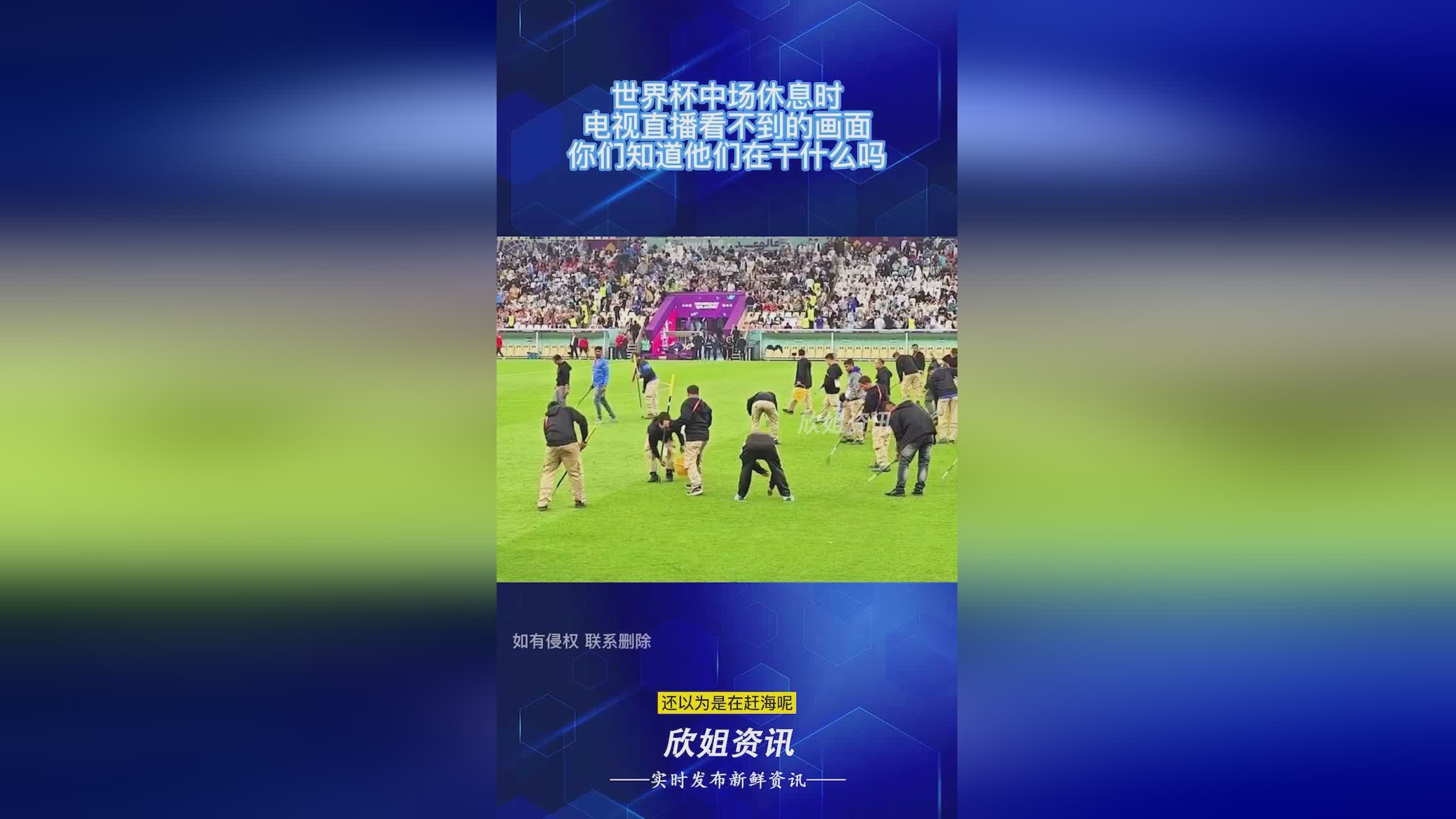 「欧洲杯哪个台直播」(欧洲杯哪个台直播电视)