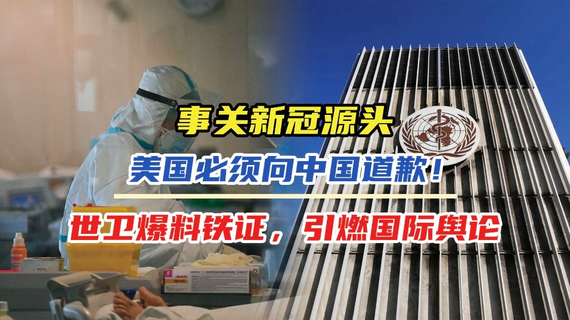 「莫雷必须道歉」(莫雷为什么要向中国道歉)