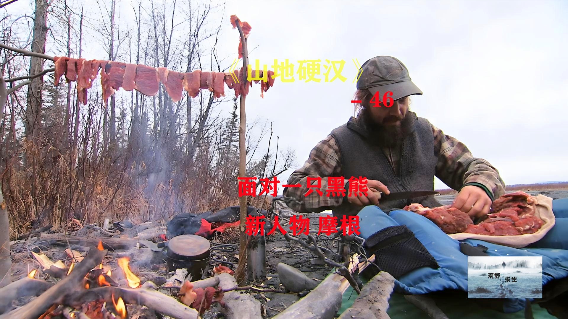 「林来疯」(林来疯纪录片观后感)