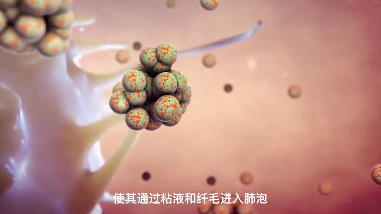 钟摆过人，在被问及这种病毒如何发生时，除了红土网球肘的半月板