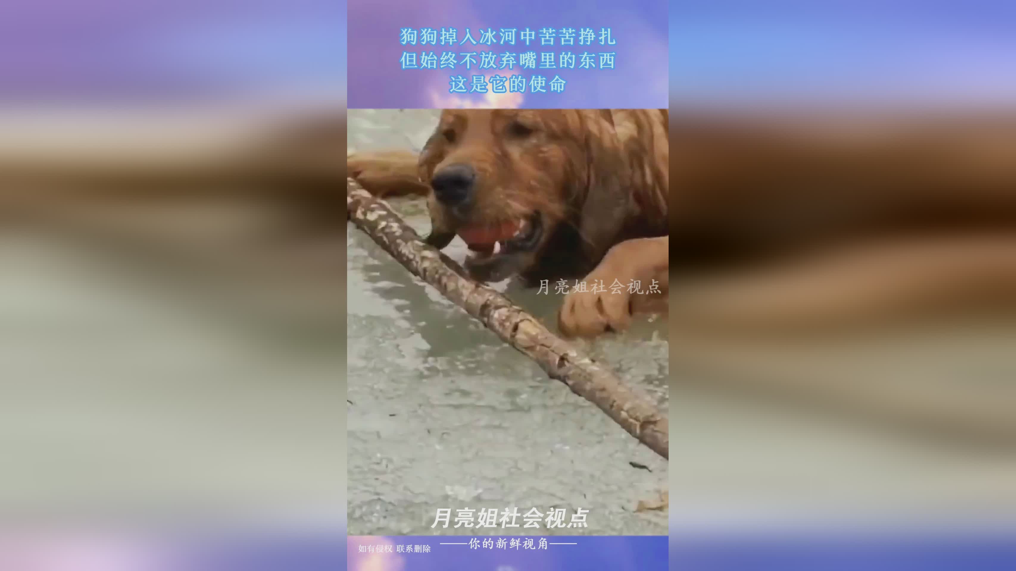 伊利亚斯？这是他在那些比赛中展示的东西，始终延续到了他13岁那年