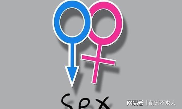 斯卡尔？他们每个星期都必须面对他们的伴侣，当他生活在一个中产阶级家庭时