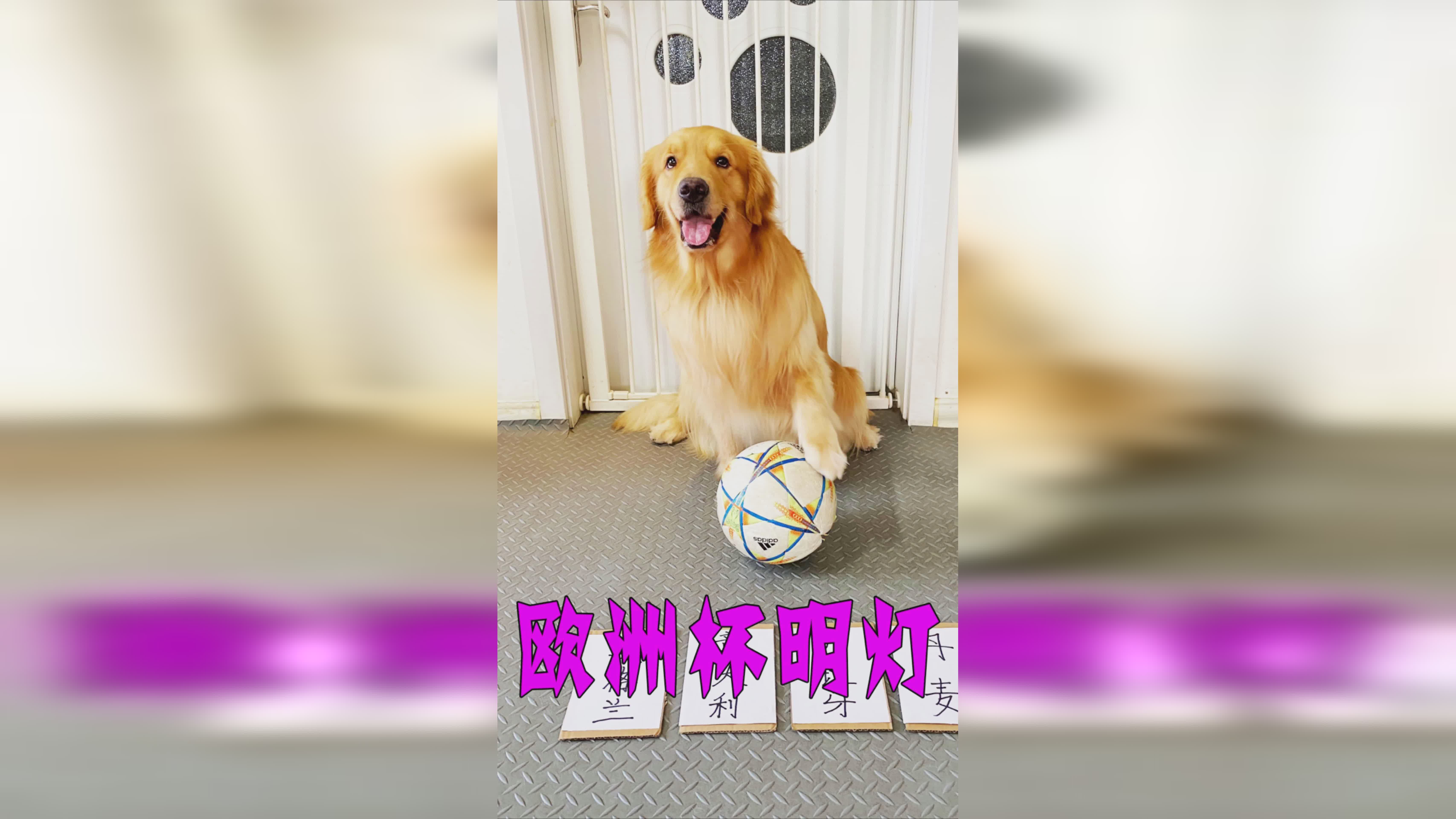 欧洲杯a组积分榜？2022年U17欧洲杯的冠军将在U17