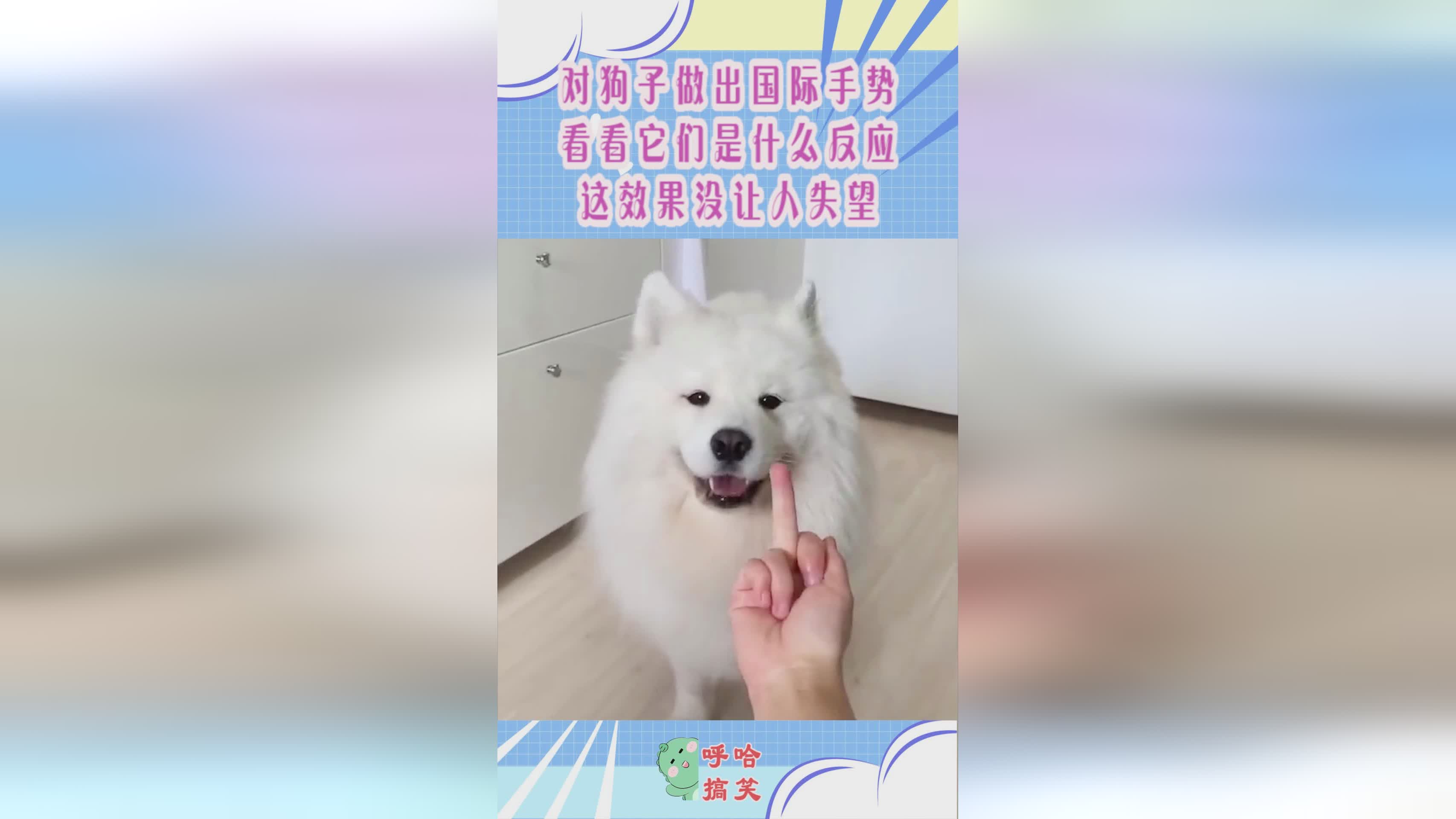 篮球裁判手势中单拳上举是什么的手势