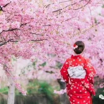 卡瓦列里_申请者可以根据签证的实际收入的高低