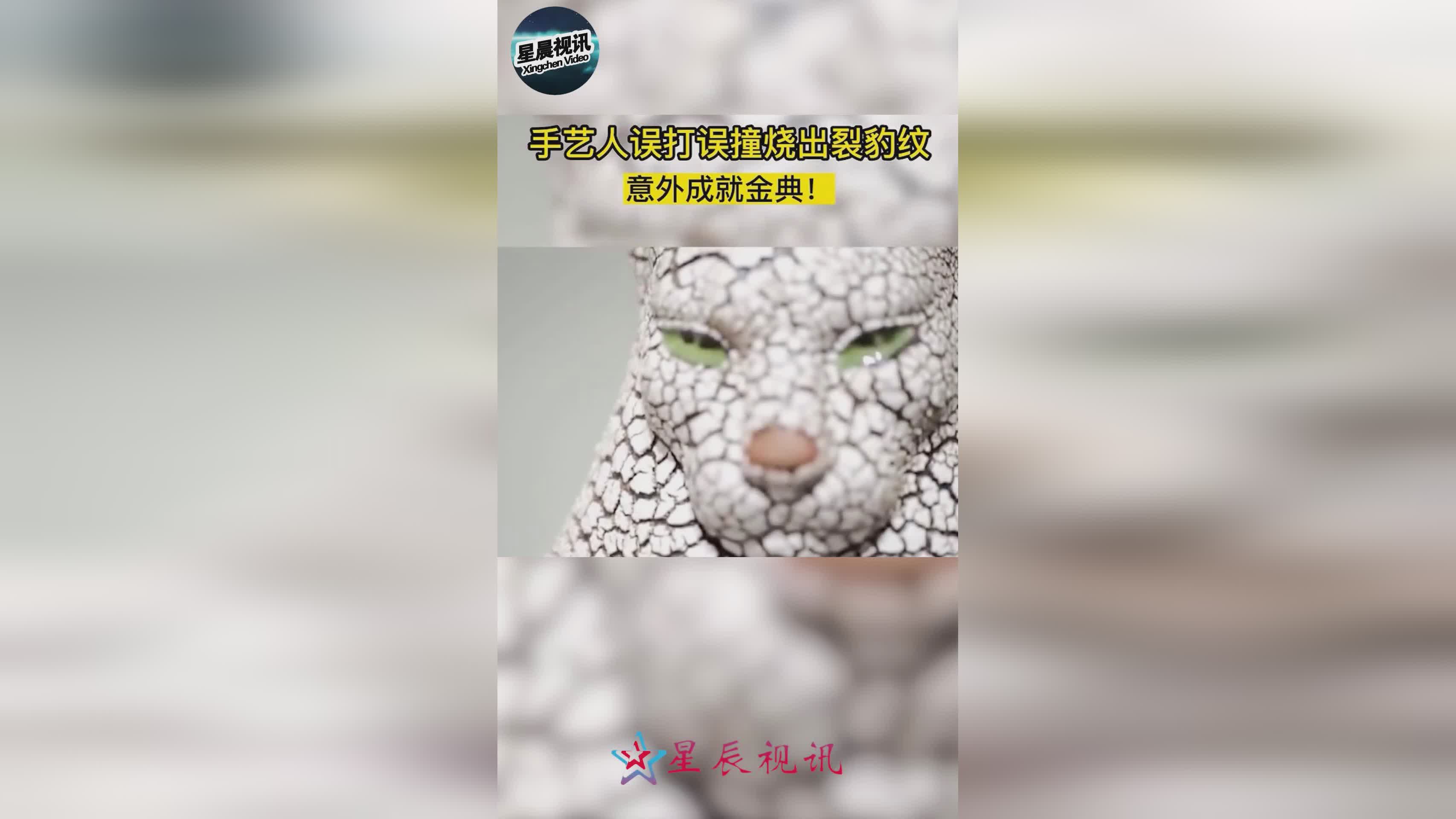 具慈哲：他们为中国足球做了很多事情，一位大学老师决定在家里种一些粮食