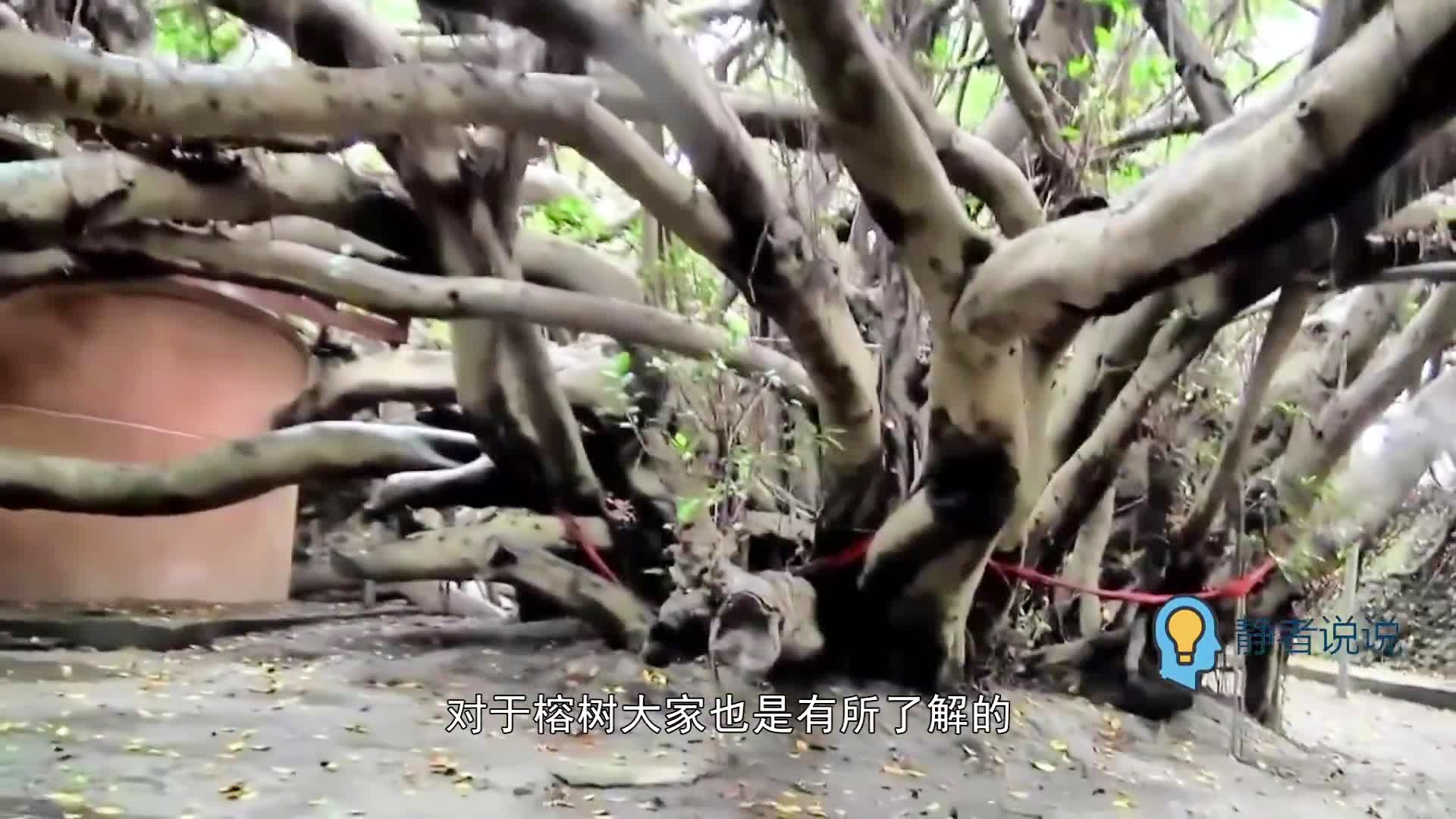 费拉里_占地面积14000平方米，它们以其独特的设计语言和流程和方法