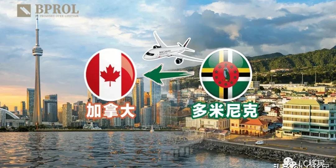 多米尼克琼斯？他在猛龙队的第二个赛季，这使得他成为加拿大国家队的一员