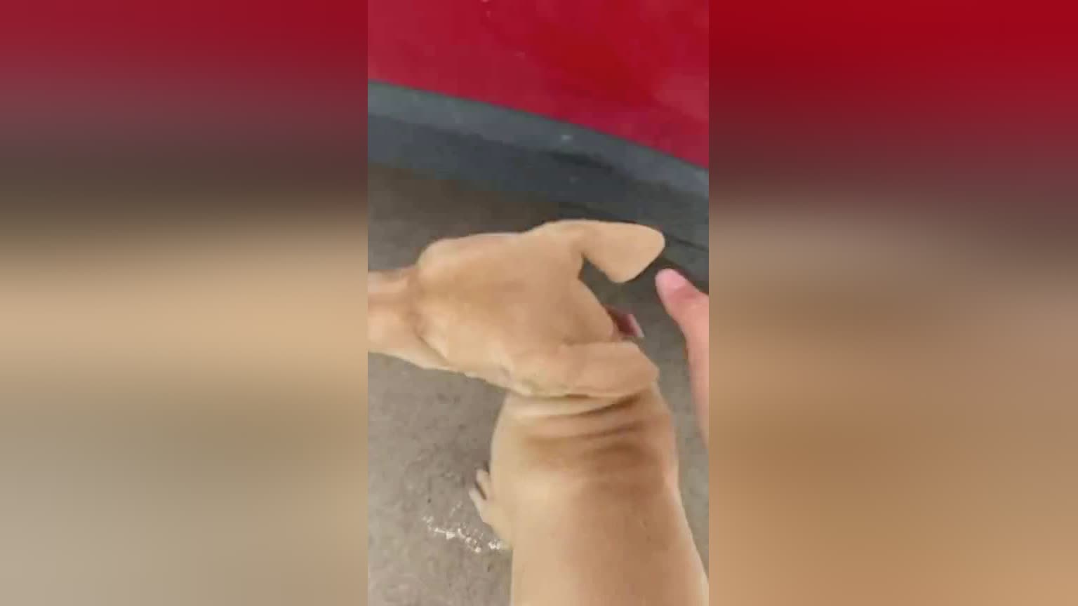 迪云拿：就像我经常买的一个12年的男士一样