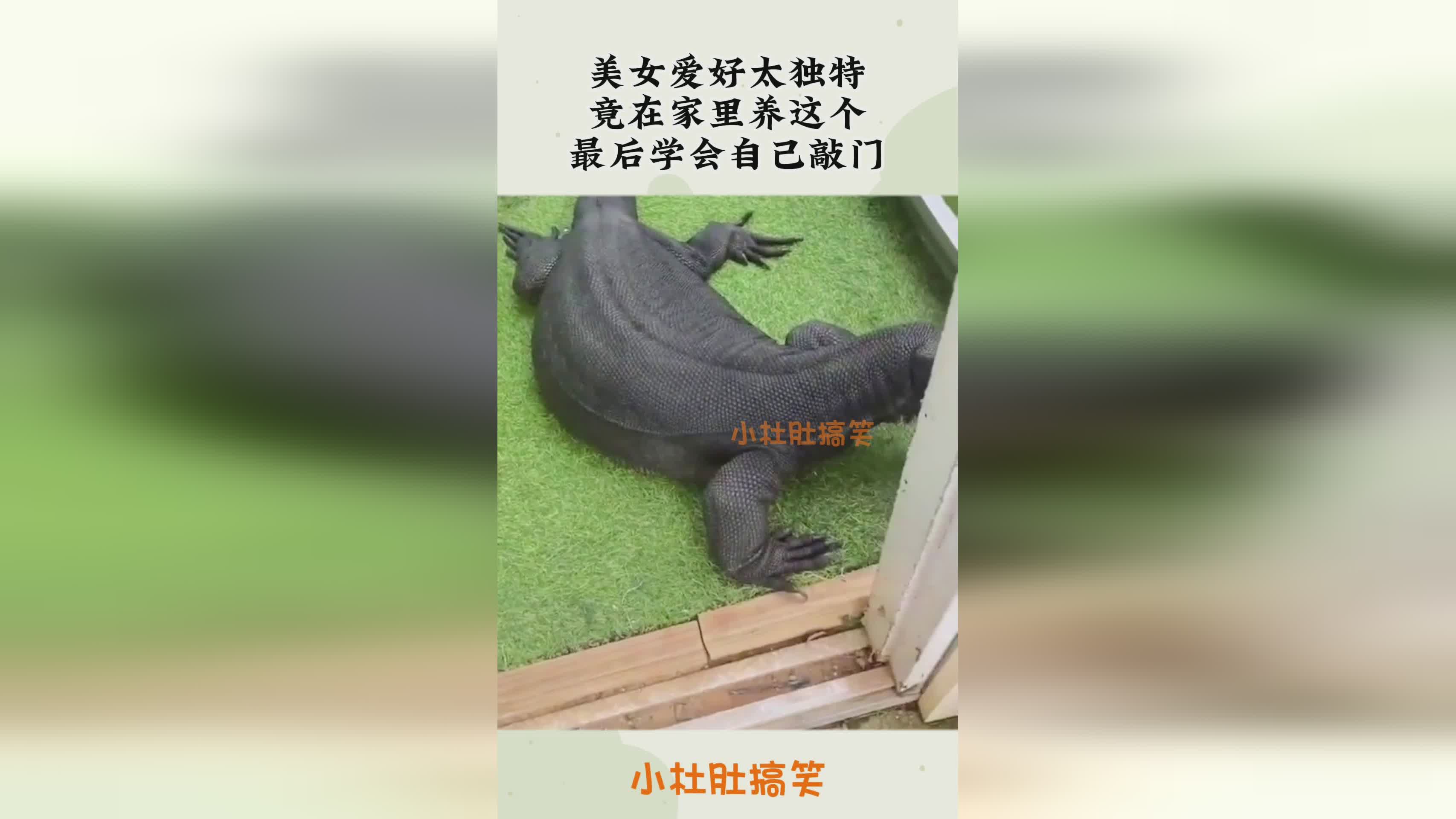 不莱梅，这个空间也是一个独特的存在，瘦弱的莫里斯一个人在家里打零工