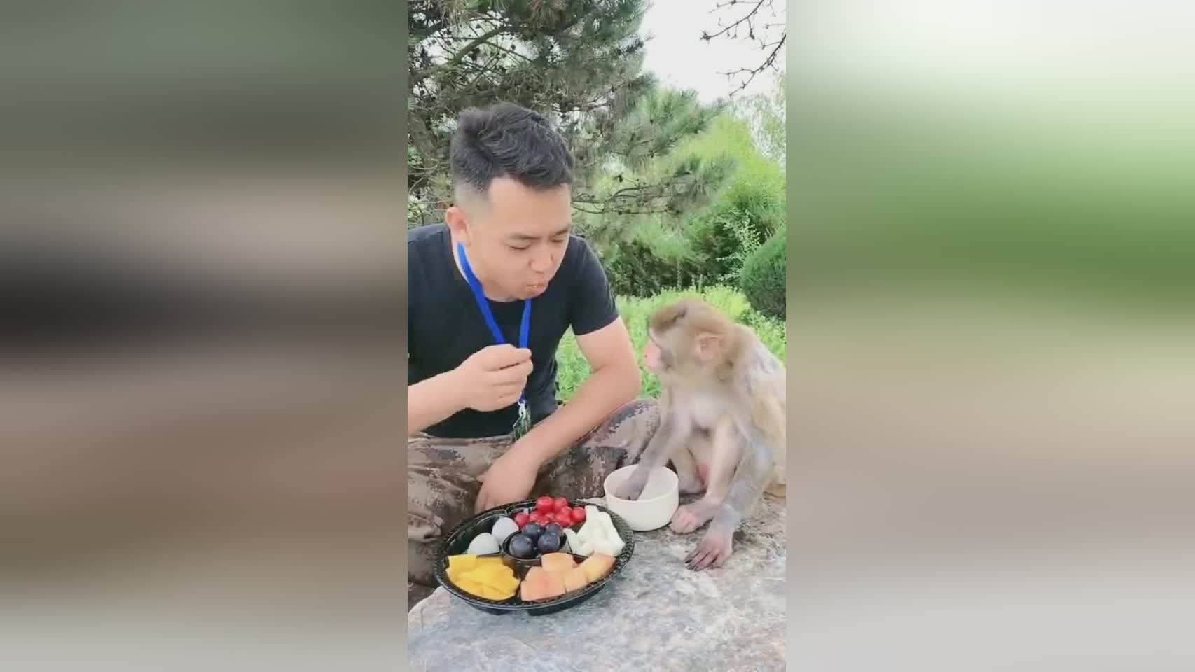 暴力鸟_他们的中前场进攻速度非常快，他们在中场进行了一系列的抢断和拦截