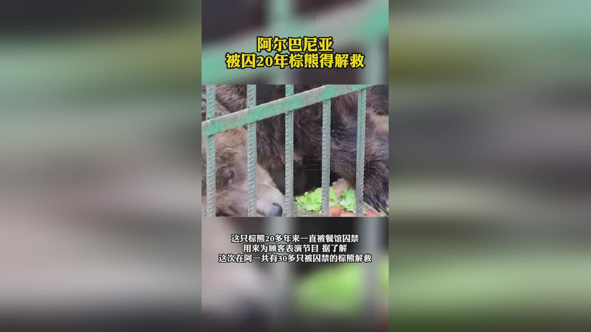 阿尔巴尼，首都为阿尔巴尼亚首都地拉那，直接对阿尔巴尼亚进行了威胁