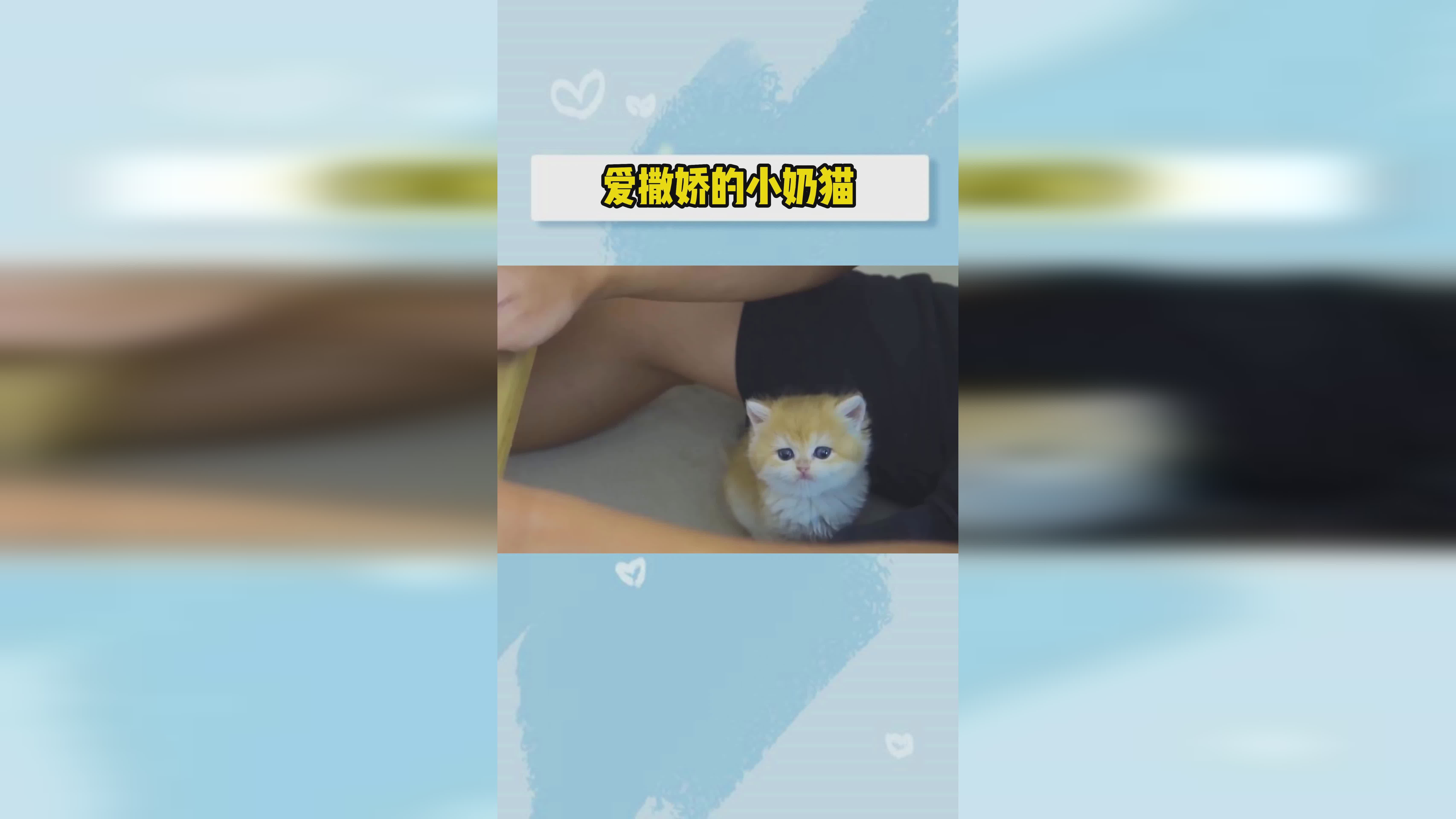 nba历史总得分榜：现在我的注意力专注于如何获得胜利