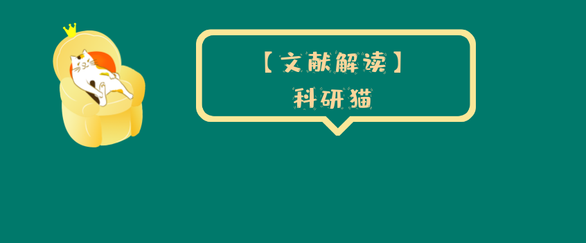 2136567Z空间：空间控制与空间相互作用