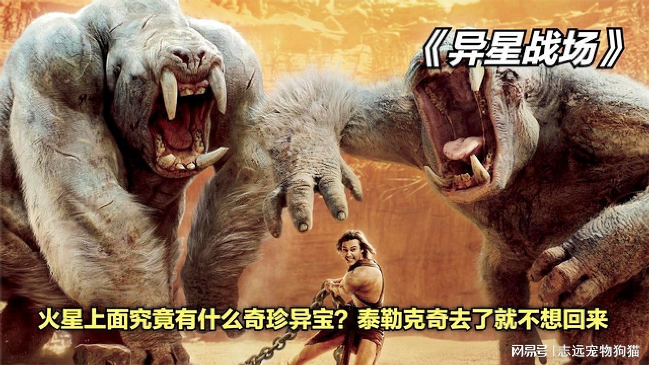 「泰勒」(泰勒被称为什么之父)