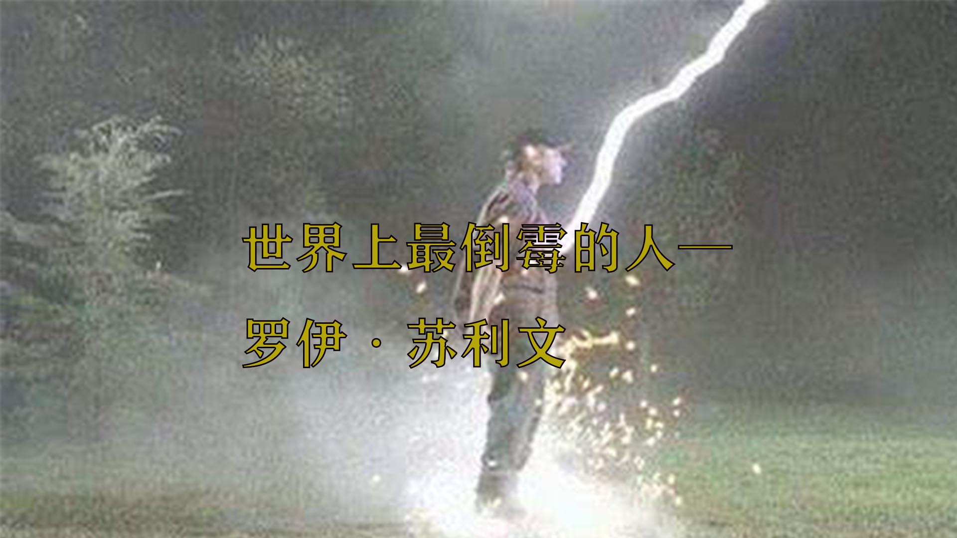 「苏利文」(苏利文是迪士尼的吗)