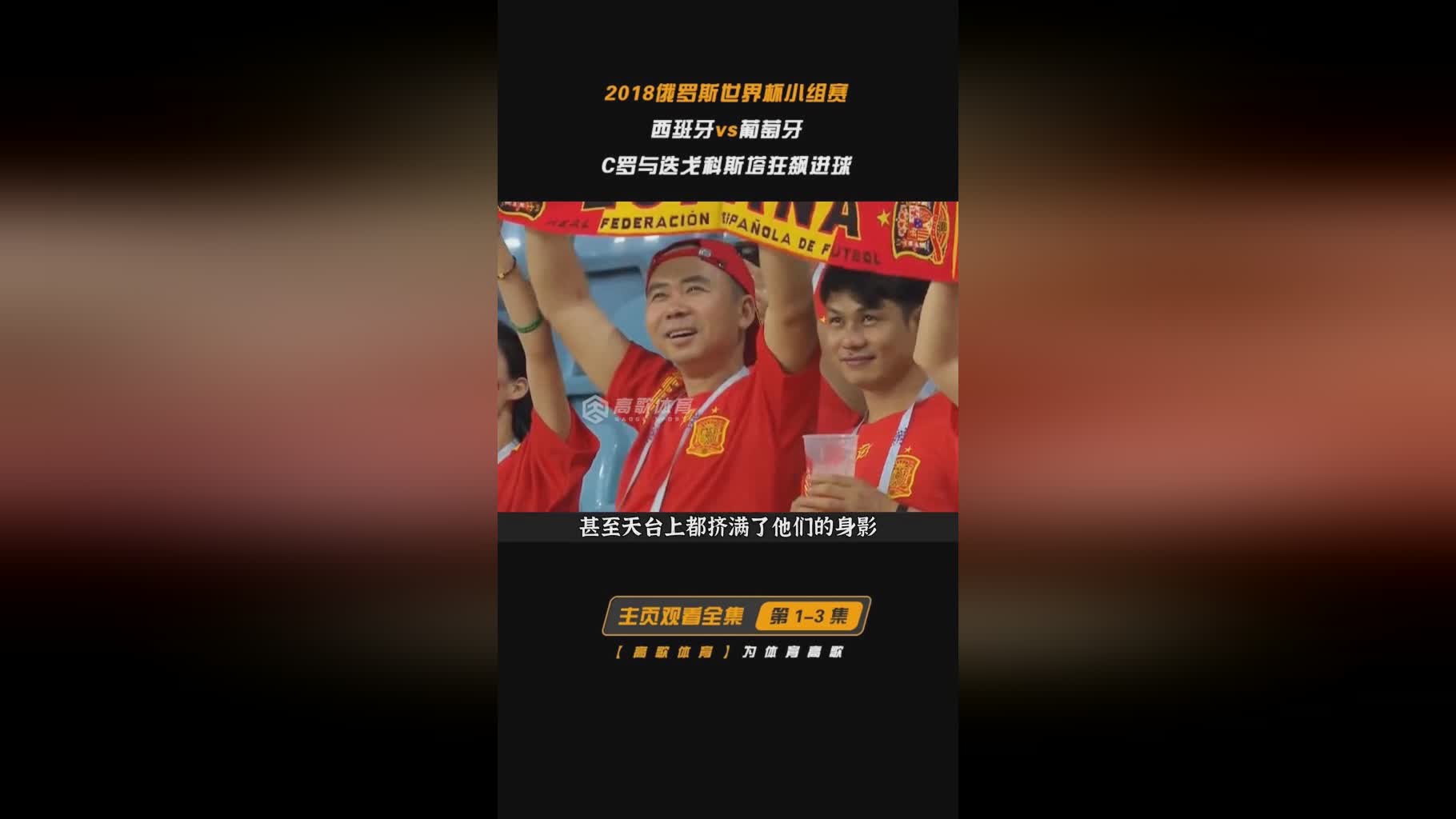 「葡萄牙vs俄罗斯」(葡萄牙vs俄罗斯3比0全场回放)